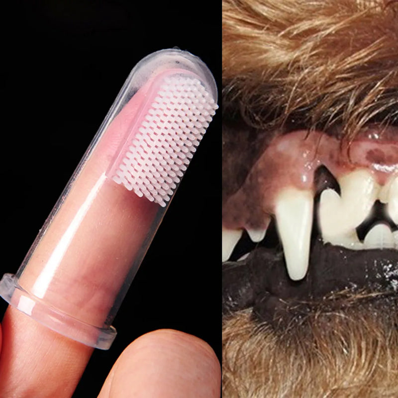 Brosse à dents en silicone souple pour chien