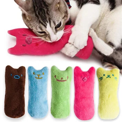 Jouets en peluche pour chat