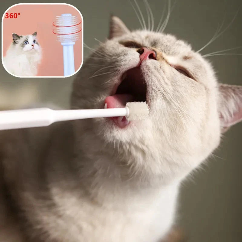 Escova de Dente para Gatos com Cerdas Macias