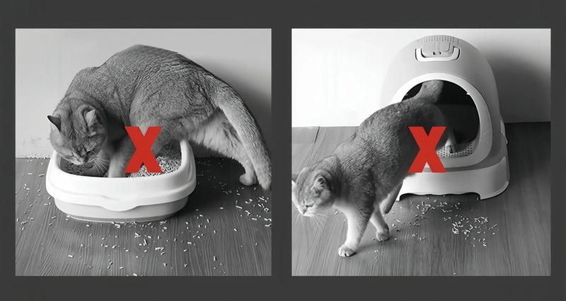 Tapete para cães e gato com camada dupla