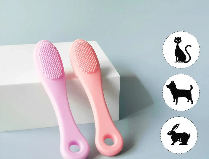 Brosse à dents pour chiens et chats