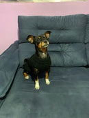 Suéteres para cães e gatos pequenos e médios