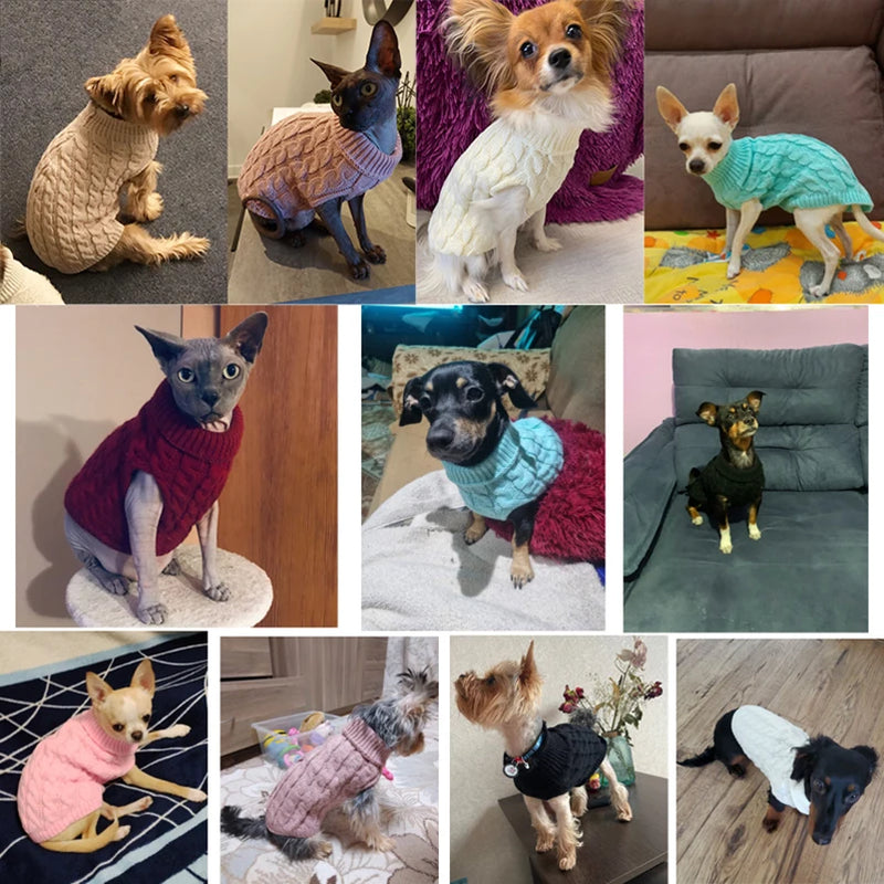 Suéteres para cães e gatos pequenos e médios