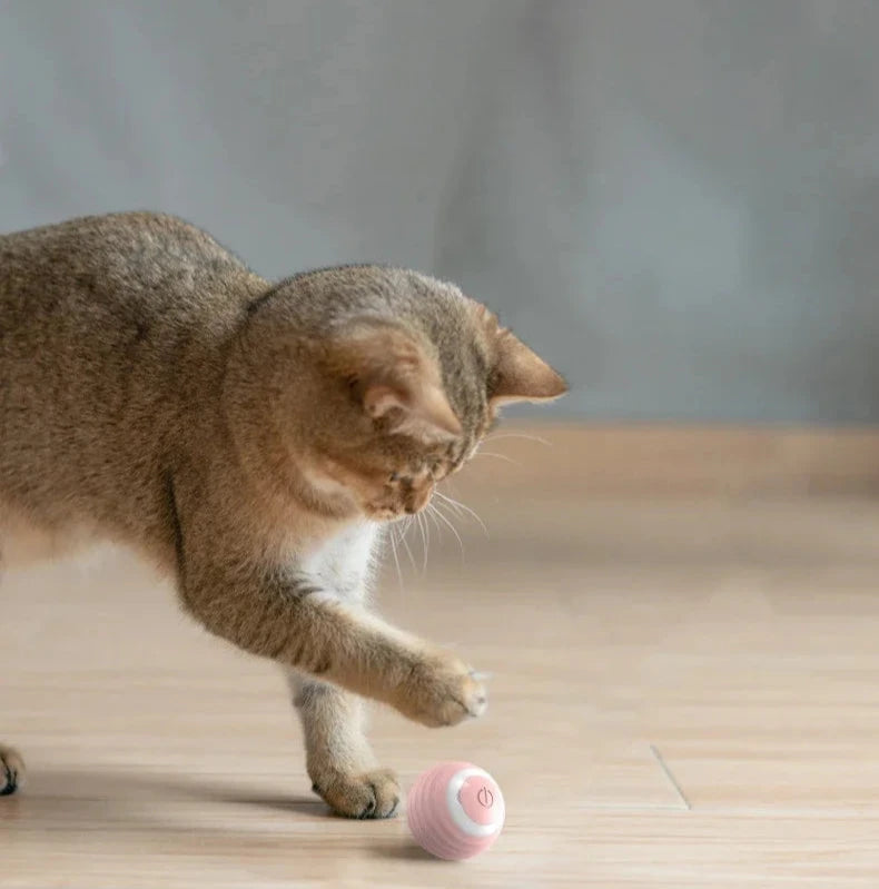 Bola giratória para gatos brinquedo elétrico interativo com carregamento USB