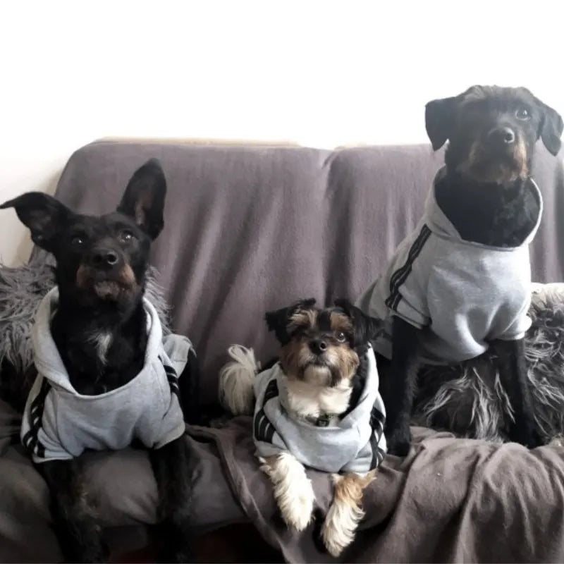 Ropa sudadera para perros