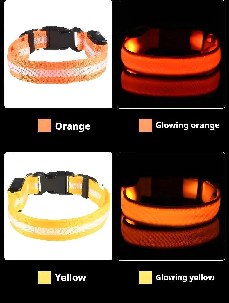Coleira de nylon com LED para cachorro