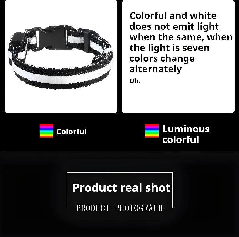 Coleira de nylon com LED para cachorro