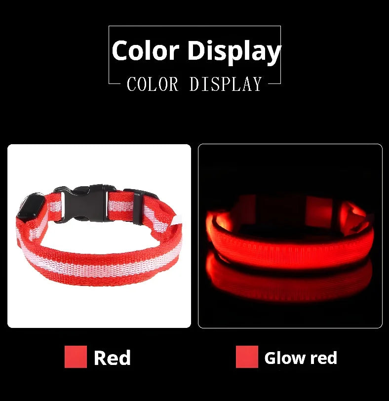 Coleira de nylon com LED para cachorro