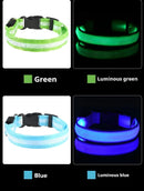 Coleira de nylon com LED para cachorro