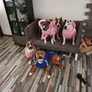 Ropa sudadera para perros