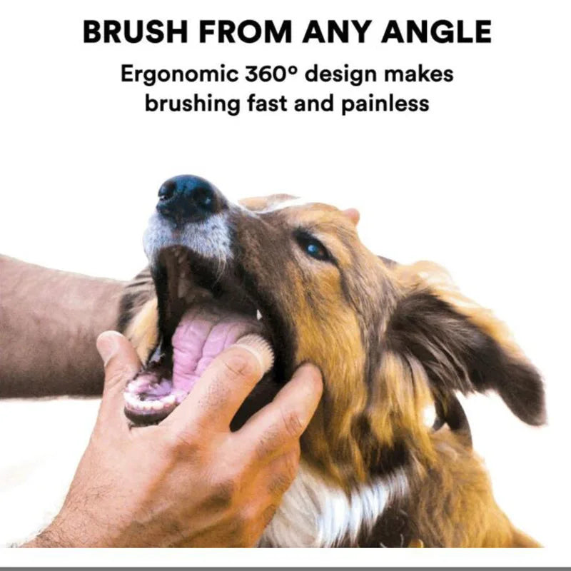 Escova de dentes super macia para pets cães e gatos