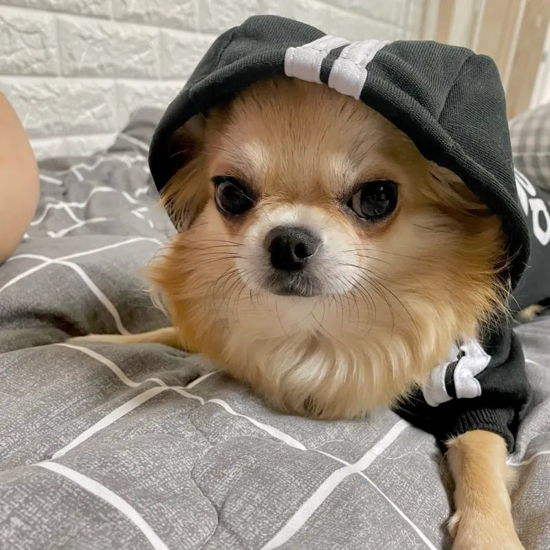 Ropa sudadera para perros