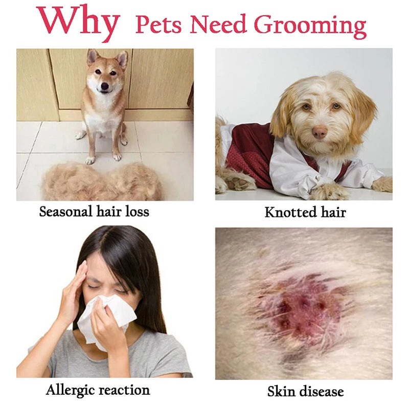 Escova profissional para remoção de pelos para cães e gatos