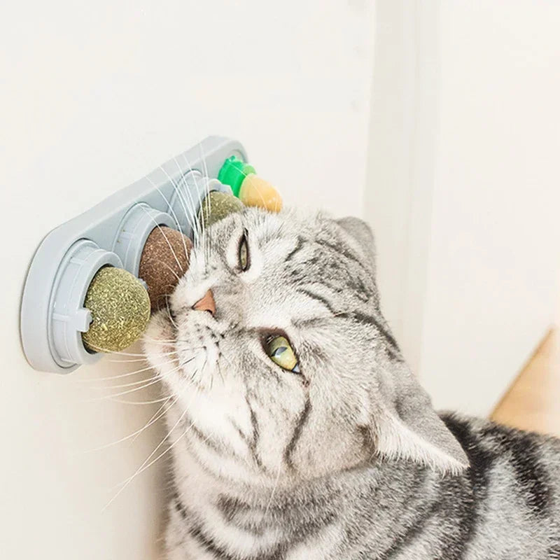 Erva-de-gato bola giratória 4 em 1 com adesivo para parede seguro e comestível