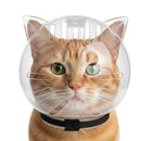 Focinheira de bolha para gatos proteção anti-mordida e anti-lambida, capuz espacial respirável para gatos.