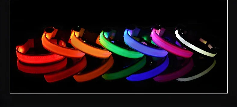 Coleira de nylon com LED para cachorro