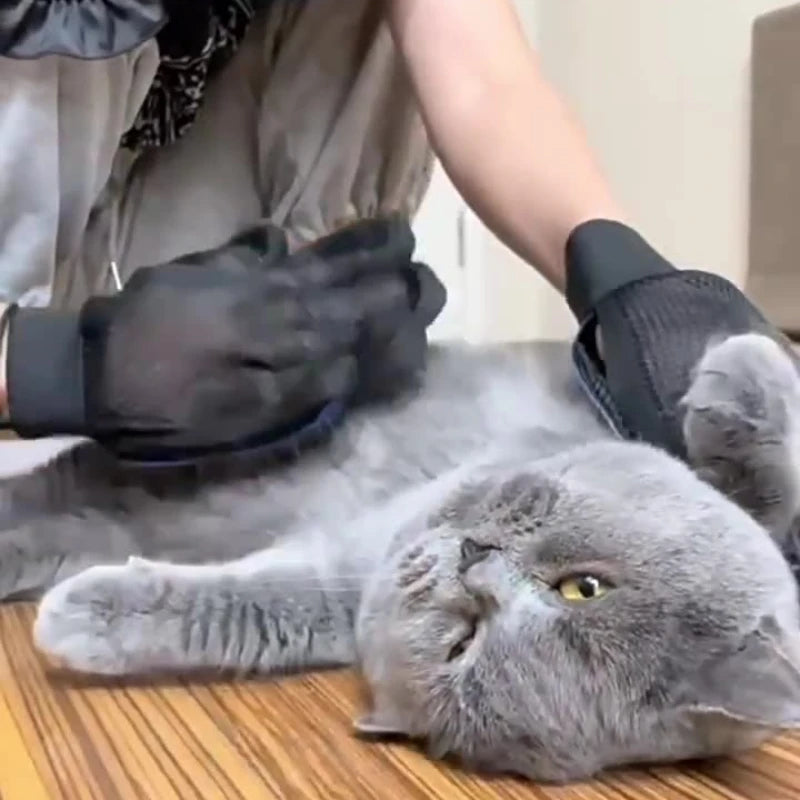 Luvas de Silicone para Escovação e Pente para Cabelo de Gatos e Cães